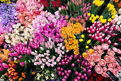 当二次元掉进单机恶魔城，《少女与学院城》首曝！ 