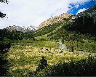 劳拉风靡全球 《古墓丽影》全系列总销量接近1亿